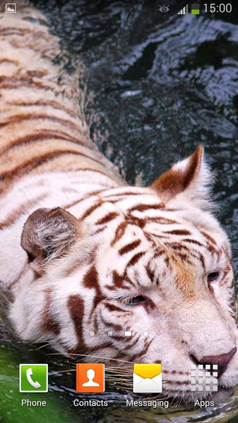 White Tiger Live Wallpaper - Preview 8