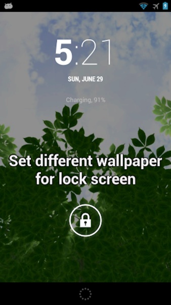 SB Wallpaper Changer - Preview 5