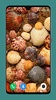 HD Seashell Wallpaper screenshot 8