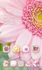 Flower Whisper GO桌面主题 screenshot 5