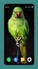 Parrot Wallpapers 4K screenshot 14