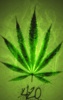 Rasta Weed Live Wallpaper screenshot 1