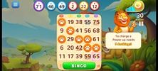 Bingo Wild screenshot 1