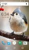 Birdy Animated Keyboard + Live Wallpaper screenshot 1