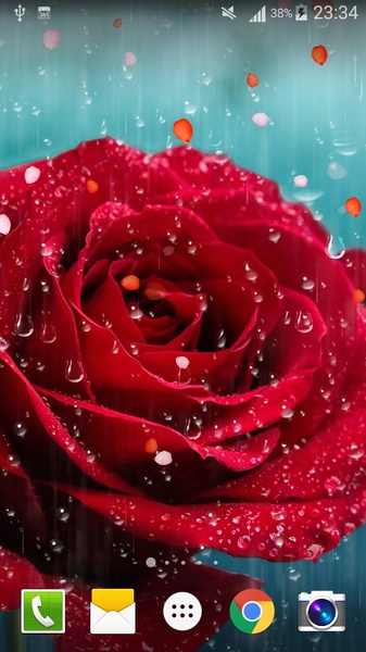 Rose Drops Live Wallpaper - Preview 7