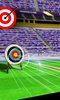 World Championship Archery-Arrow Shooting Game screenshot 1