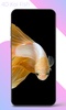 4D Koi Fish Water Live Wallpaper screenshot 3