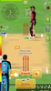 Smashing Cricket screenshot 1