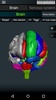 Brain and Nervous System 3D screenshot 5
