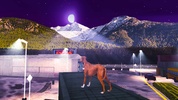 Greyhound Dog Simulator screenshot 10
