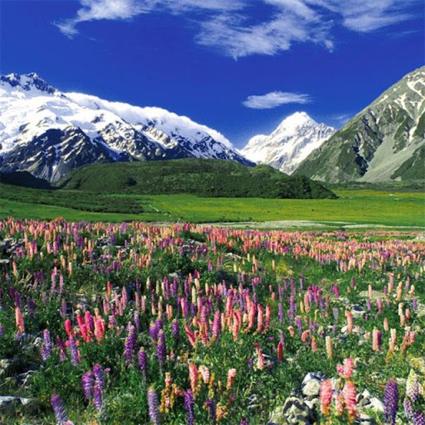 Nature Jigsaw Puzzles - Preview 1