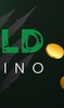 Wild Casino screenshot 3