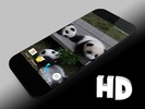 Panda Video Wallpaper screenshot 11