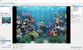 Animated Screensaver Maker screenshot 4