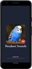 Parakeet Sounds screenshot 1