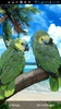 Parrot Live Wallpaper screenshot 6