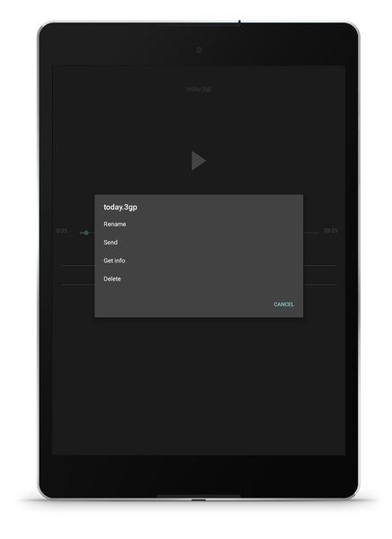 Recorder - Preview 10