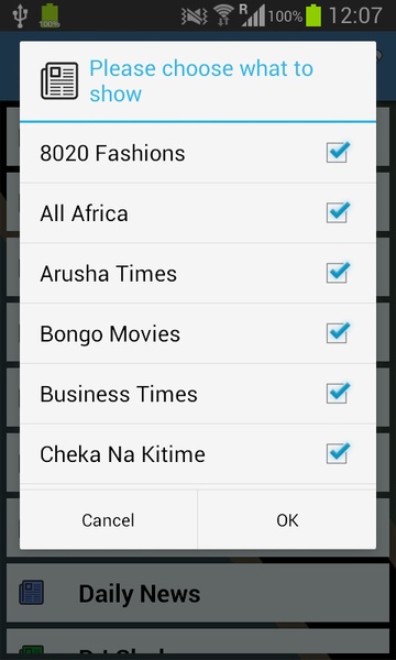 Tanzania Newspapers - Preview 9