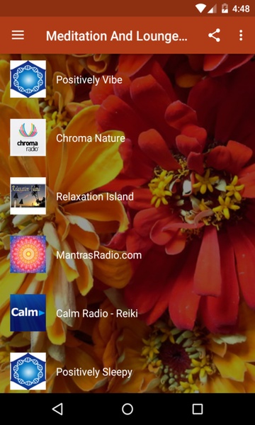 Meditation And Lounge Radio - Preview 4