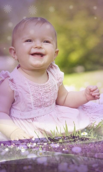 Photo Wonders - Preview 5