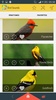 Kuş Sesleri screenshot 2