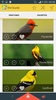 Bird Sounds screenshot 2