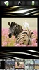 Zebra Wallpapers screenshot 7