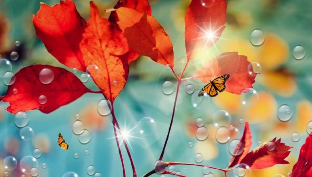 Red Leaf for Galaxy S4 - Preview 1