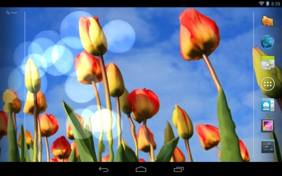 Flowers Reflection Free - Preview 9