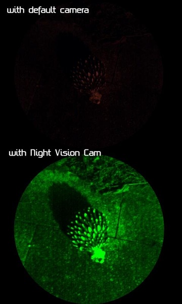 Night Vision Cam - Preview 1