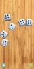 Real Dice screenshot 3