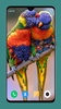 Parrot Wallpapers 4K screenshot 5