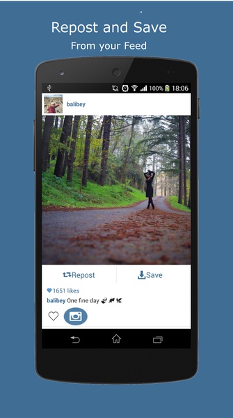 Clean Repost for Instagram - Preview 6