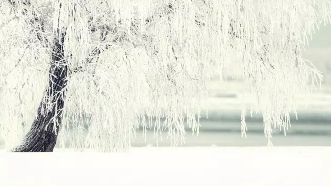 White Wallpapers - Preview 4