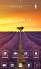 Lavender Field in Provence screenshot 1