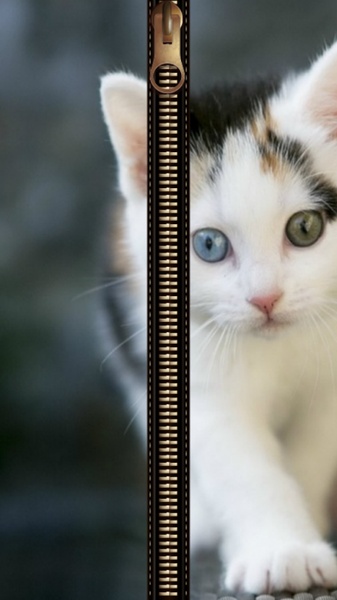 Cat Zipper Screen Lock - Preview 6