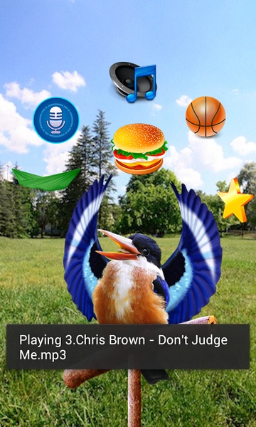 Real Talking Bird - Preview 1