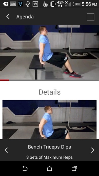 Triceps, Biceps, Forearms - Preview 4