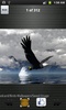 Birds Wallpapers HD screenshot 2