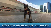 Dog Racing Tournament Sim 2 screenshot 1