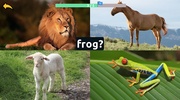 Learn Animal Names in English screenshot 2