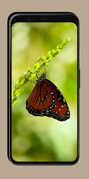 Butterfly Wallpaper OurcreativeApps - Preview 4