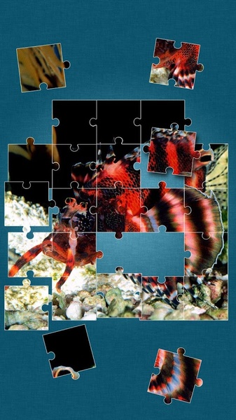 Under the Sea Jigsaw Puzzles - Preview 9