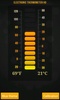 Electronic Thermometer HD screenshot 11