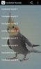 Cockatiel Sounds screenshot 1