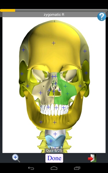 Anatomy Quiz Lite - Preview 3