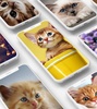 Cute Kitten Wallpaper screenshot 2