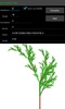 L-Systems Explorer Free screenshot 2
