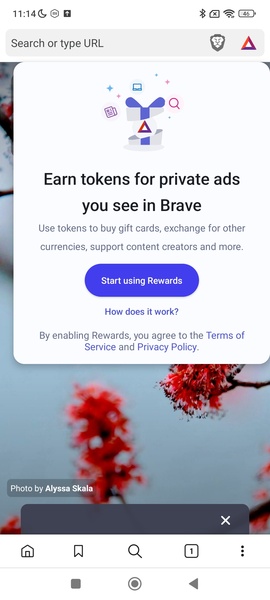 Brave Browser 1.77.95 Video Stills 2
