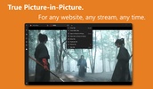 Easy Youtube Player screenshot 3